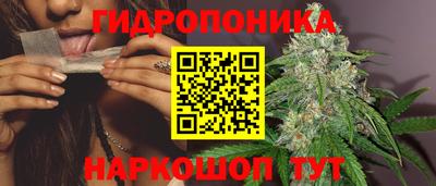 apvp Пенза