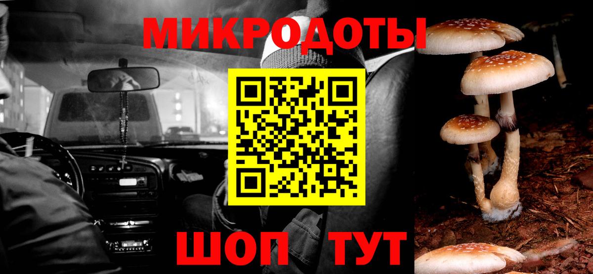 Галлюциногенные грибы прущие грибы  Галлюциногенные грибы Psilocybe  Петропавловск-Камчатский  Вход с VPN 